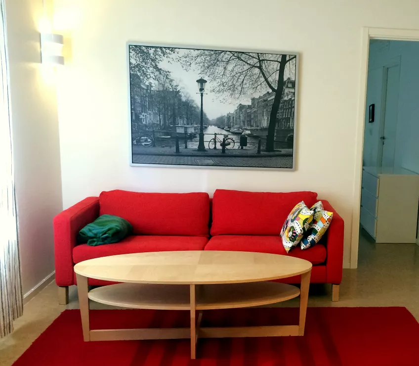 A living room at Klostergården Student House with a sofa, coffee table, rug, and a picture on the wall behind (photo).