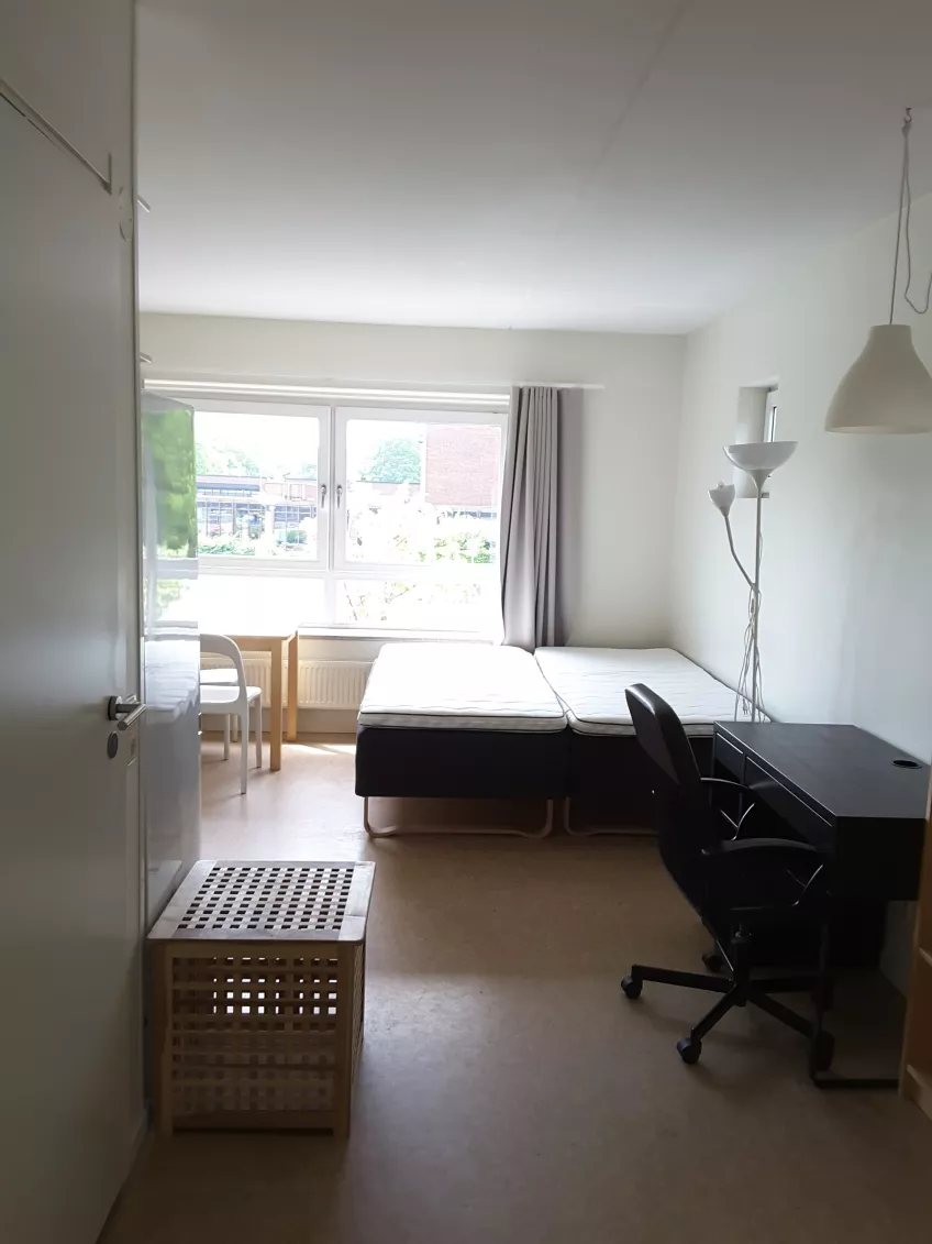 Overview over room F1102 at the housing area Klostergården Student house showing two beds, desk, deskchair, laundry basket, and a kitchen table with chairs.