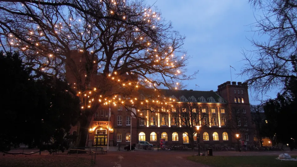 The AF-Castle, centre for student activities, behind a tree lit by christmas decoration and early December morning. Photograph by Louise Larsson.