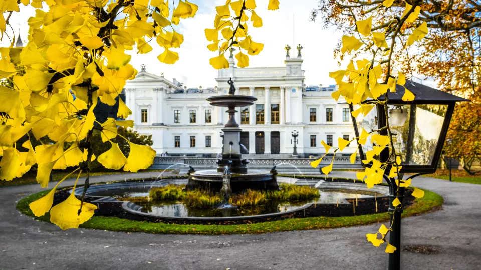 Lund University building during autumn. Photo by Kennet Ruona.