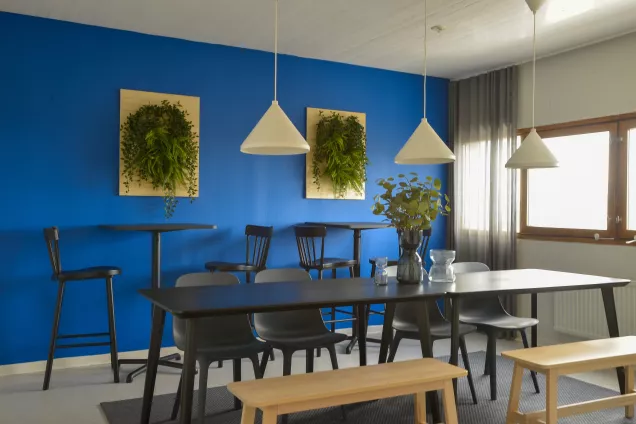An overview of one of the common areas by the kitchen at University Guest House showing a blue wall and tables and chairs in front of it (picture=