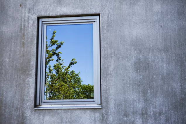 Window set in a grey wall, reflecting a clear blue sky and the branches from a tree. Photo by Johan Persson.