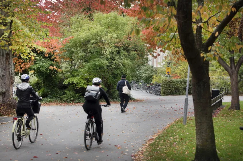 Two people biking on a concrete road through a park. Photo by Johan Bävman.