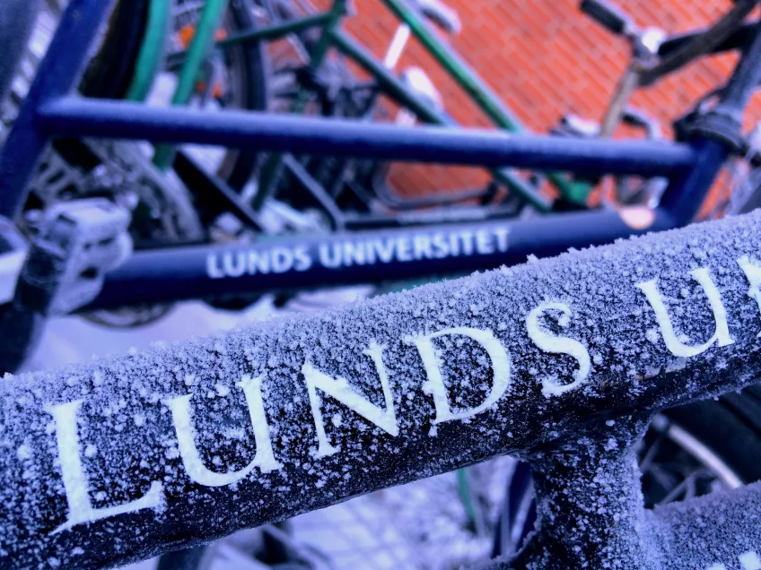 Close-up of frost on Lund University bikes. Photo by Anders Frick.