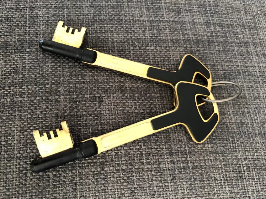 A pair of golden and black keys lying on a grey background (picture)